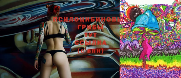 гашик Кинешма