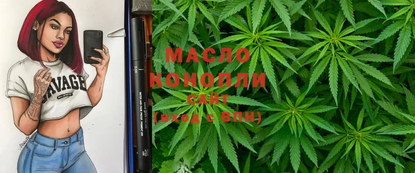 гашик Касимов