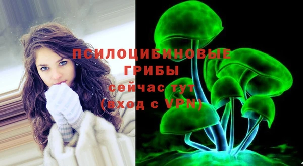 эйфоретик Киреевск