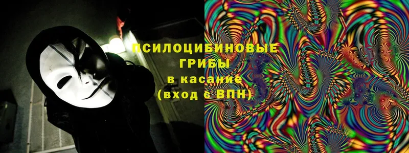 Галлюциногенные грибы мицелий  Княгинино 