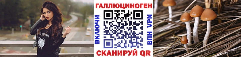 Галлюциногенные грибы ЛСД  Княгинино 